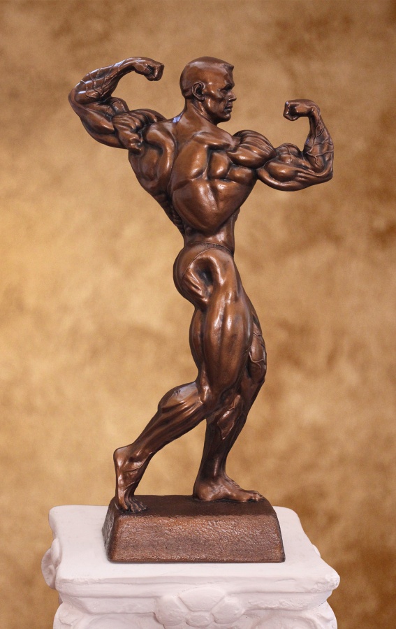Male Twisting Double Bicep Trophy