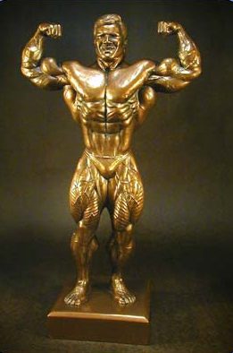 large male double bicep